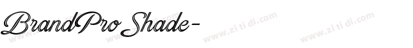 BrandPro Shade字体转换